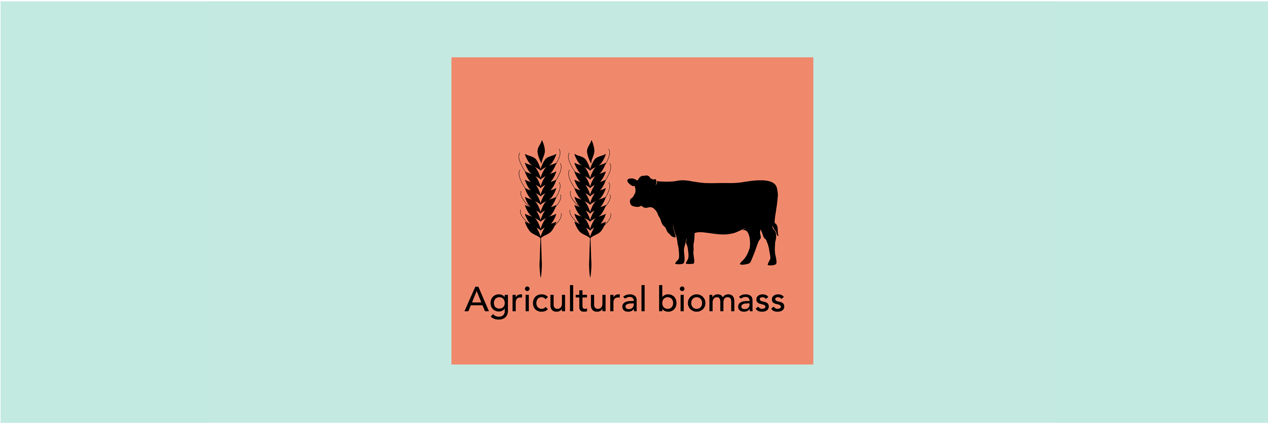 Landwirtschaftliche Biomasse.